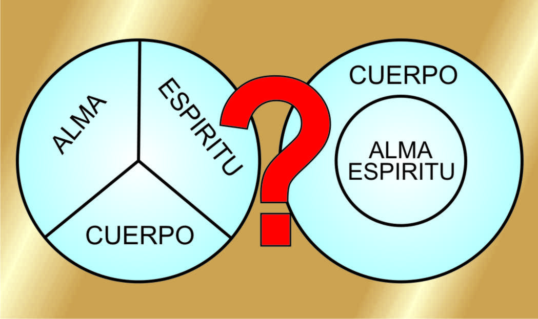 dicotomia tricotomia