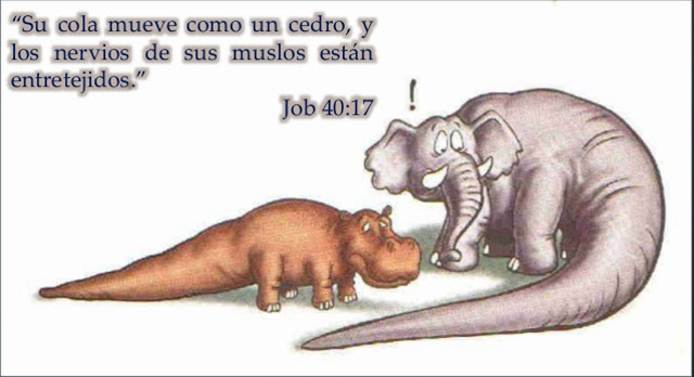 dinosaurios en la biblia