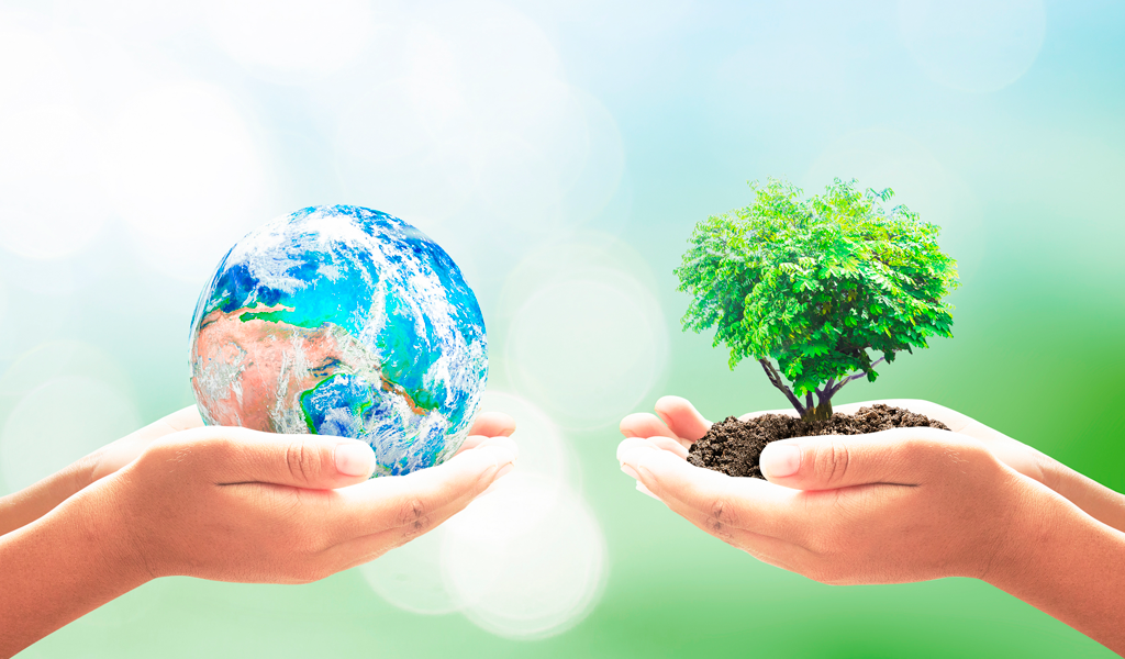 ambientalismo y ecologismo.png